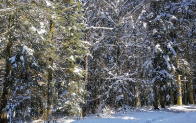 vendredi 23 avril 2021