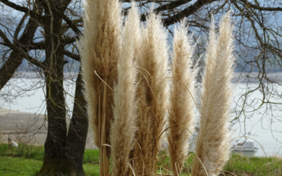 Dimanche 18 avril 2021