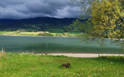 vendredi 14 mai 2021