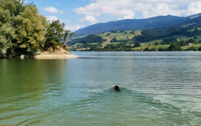 Mardi 14 septembre 2021