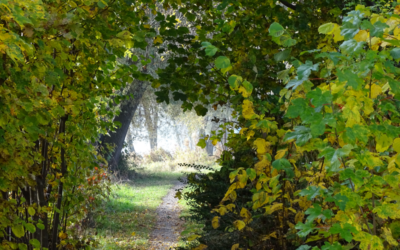 Jeudi 23 Octobre 2021